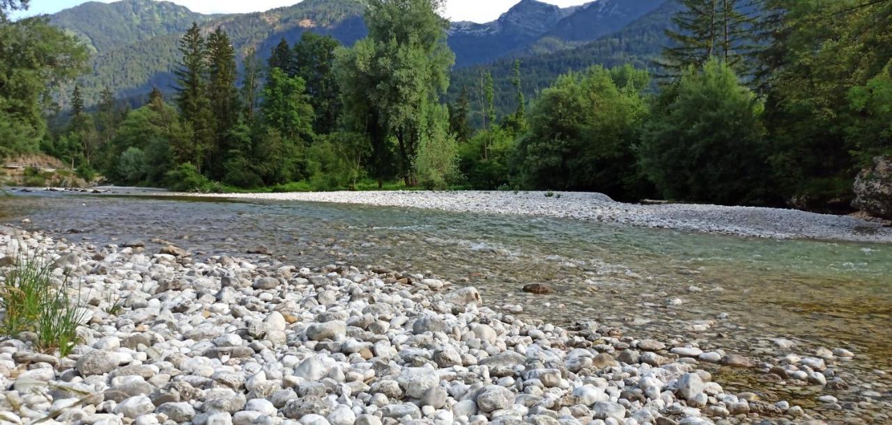 Apartments Irena Bohinji-tó Kültér fotó