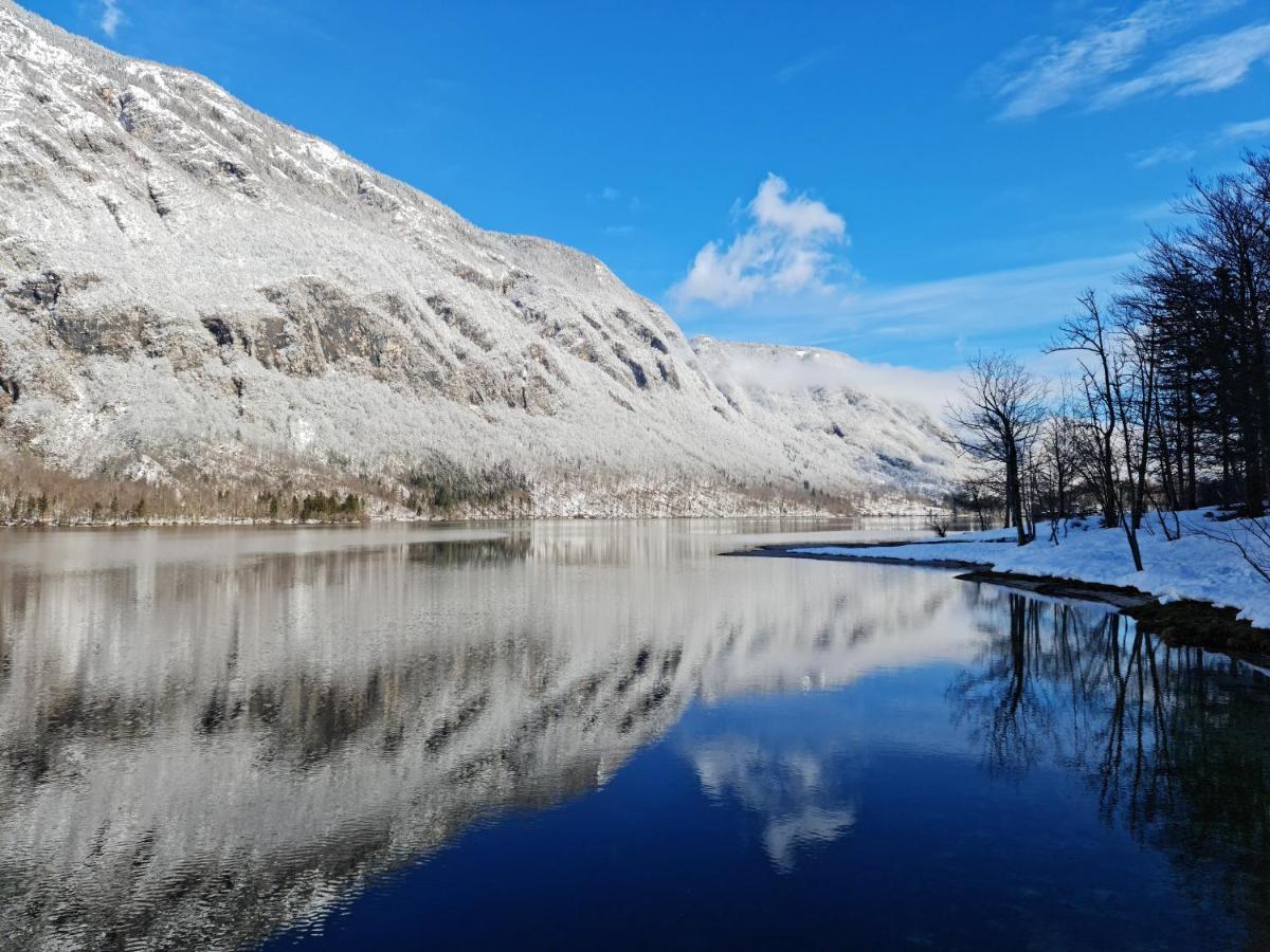 Apartments Irena Bohinji-tó Kültér fotó